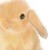 :iconbacktracingrabbit: