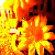 :iconbackup17: