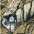:iconBackwaan: