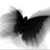 :iconbackwardsbutterfly:
