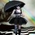 :iconbackwardsclockwork:
