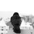 :iconbackwardscrow: