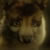 :iconbackwardsphrase: