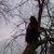:iconbacon-lover:
