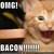 :iconbacon500: