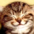 :iconBaconBrownGown: