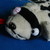 :iconbaconcheesecat: