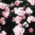 :iconbaconmagic: