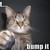 :iconbad-ass-person: