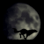 :iconbad-jack: