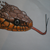 :iconbad-killer-kitty: