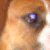 :iconbadass-joker:
