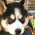 BadBandit2012 :iconbadbandit2012:
