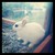 :iconbadger08: