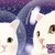 :iconbadgerhead113: