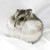 :iconbadgerpop: