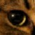:iconbadkitty06: