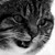 :iconbadlittlecuttie: