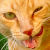 :iconbadphotographer0904: