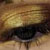 bafnaf :iconbafnaf: