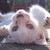bagheera94 :iconbagheera94: