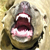 :iconbagobie: