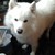 :iconbah-sofia: