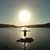 :iconbahaeddine96: