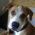 :iconbaileysphoto:
