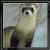 :iconbaineg: