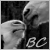 :iconbaiocavallo: