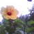 :iconbaita-of-the-camera: