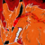 :iconbajewolf: