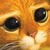 :iconbaka-daniella:
