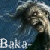 :iconbaka-debiru: