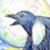 :iconbaka-wallaby: