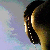 :iconbakry: