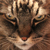 :iconbaleine-des-sables: