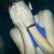 :iconballerinablue:
