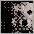 :iconballroom-ri0t:
