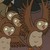 :iconbalsamfir:
