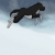 :iconbalto454: