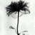 :iconbamboo1909: