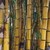 :iconbambooisland: