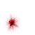 :iconbambus: