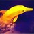 :iconbananacamel: