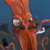 :iconbananazgorilla:
