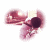 :iconbandi-oniichan: