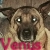 :iconbandits-r-us: