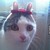 :iconbane13th: